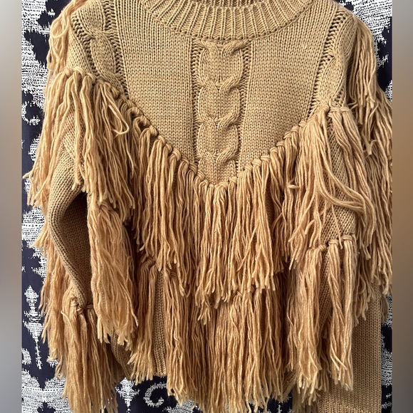 Brown Fringe sweater - Picture 2 of 6